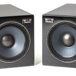 Wayne Jones Audio - 1000 Watt 1x10 Studio Monitors