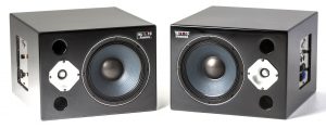 Wayne Jones Audio - 1000 Watt 1x10 Studio Monitors