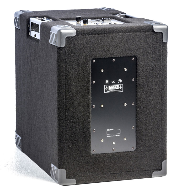 Wayne Jones Audio 1000 Watt 1x10 Stereo/Mono Bass Wayne