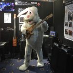 Funky Bunny with a Fodera Monach 5 Deluxe bass guitar 