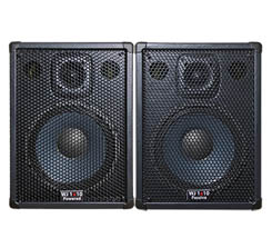 Wayne Jones Audio - 1000 Watt 1x10 Stereo/Mono Bass Cabinets for bass guitars and also great for guitars and vocals