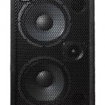 WJ 700 Watt Passive 2x10 Bass Cabinet - 8 Ohms, Compact, Hi End, Crystal Clear, Full Range 2×10 Bass Cabinet (40 Hz – 20 KHz)