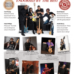 Wayne Jones Audio, endorsees for bass guitar powered speaker cabinets & stereo valve bass pre-amp