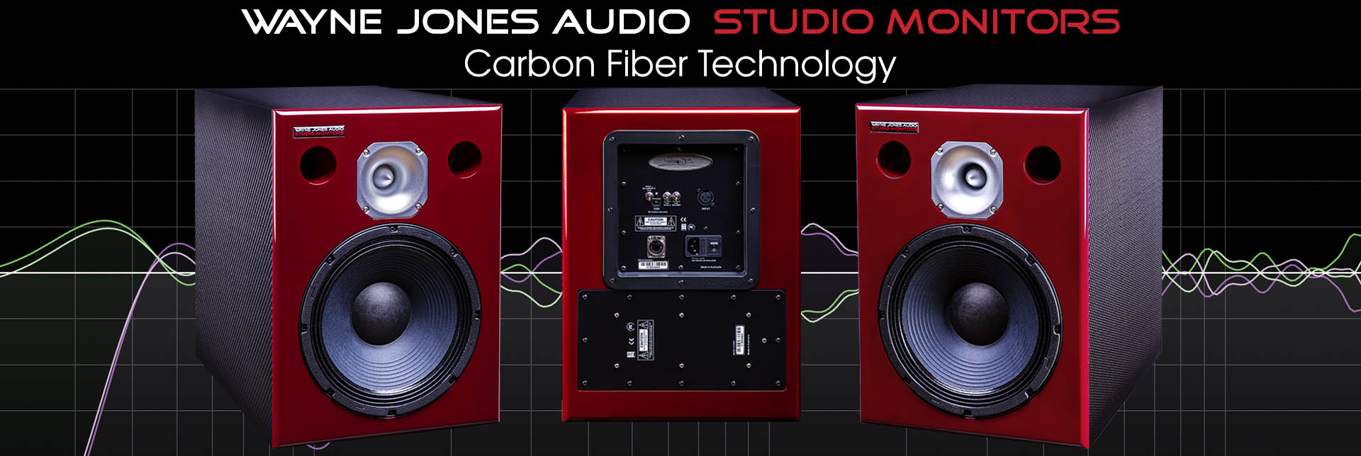 Wayne Jones Audio Carbon Fiber Studio Monitors - 10" 650 watt each recording engineering, audio and film post production, sound track mastering, audio mixing, sound mixing, recording studio gear.