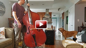 Upright bass with Wayne Jones Audio rig review: WJ 2×10 1000 Watt Powered Cab & WJBPII Twin Channel Bass Pre-Amp