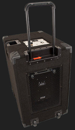 bass guitar power amp & powered bass speaker cabinets. 1000 Watt Compact, Portable  Hi End, High Powered, Crystal Clear, Full Range 2×10 Bass Cabinet (40 Hz – 20 KHz & does the job of a 4×10) that only requires a pre-amp, your bass & yourself. 