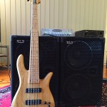 Try / Buy Fodera Monarch 5 bass guitar in Melbourne