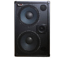 Wayne Jones Audio - 1000 Watt 2x10 Powered Bass Cabinet - bass guitar speakers