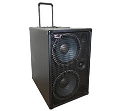 powered speaker for guitar